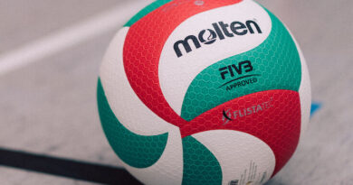 volleyball molten dritte liga regionalliga