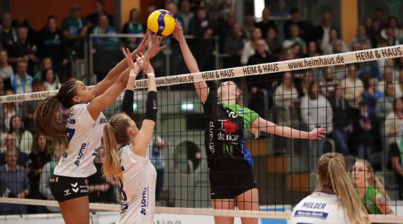 skurios borken aufstieg volleyball bundesliga