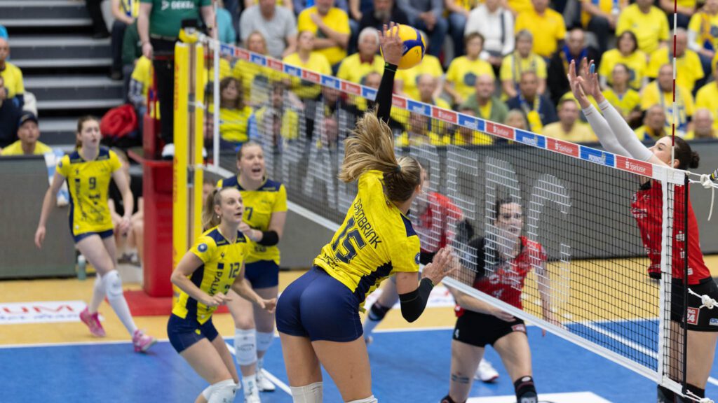 ssc schwerin transfer abgaenge volleyball