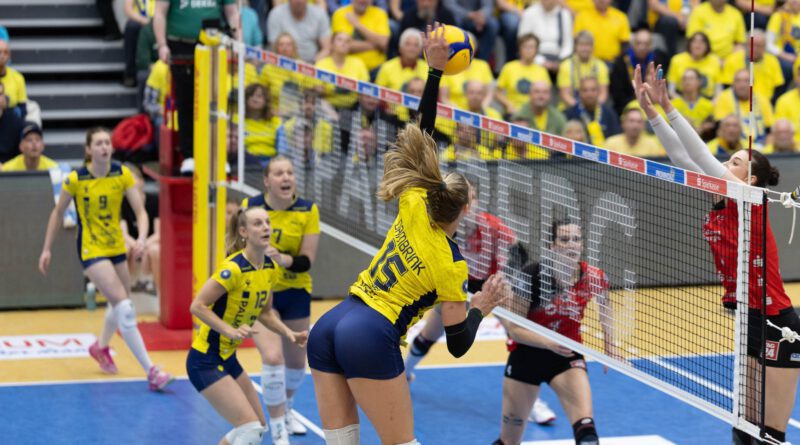 ssc schwerin transfer abgaenge volleyball