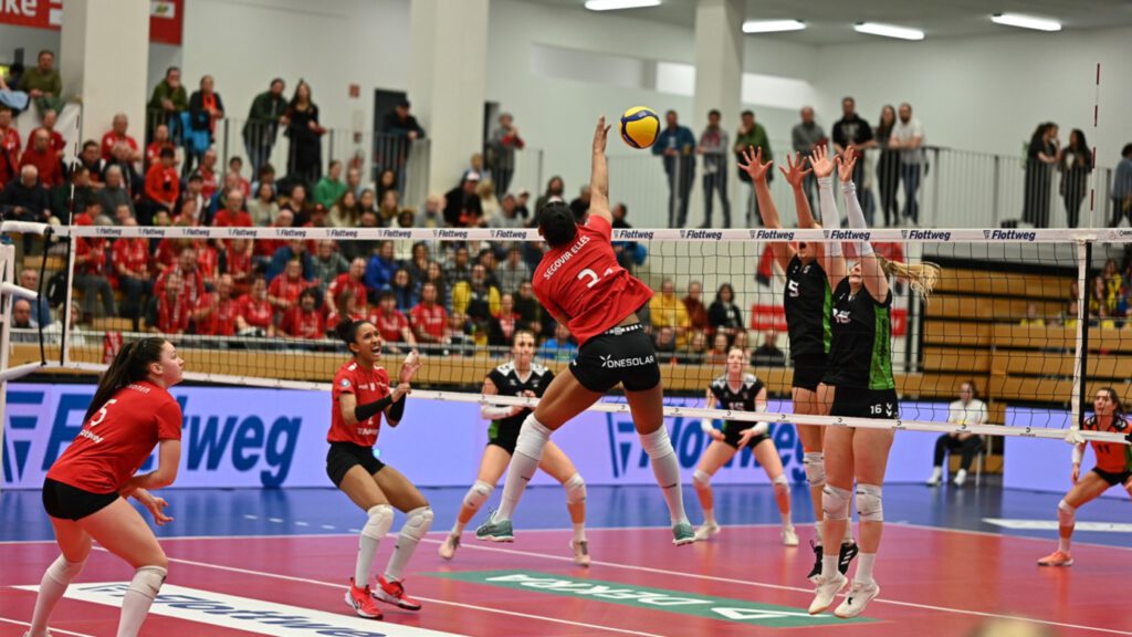rote raben vilsbiburg dvv pokal nawaro straubing