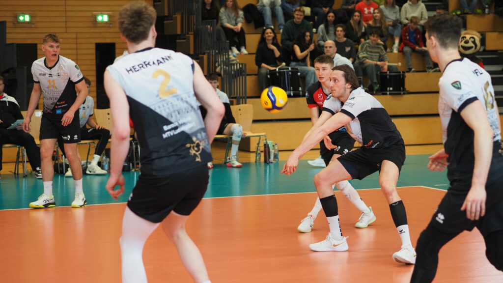 volleyball bundesliga partnerschaft nachwuchs