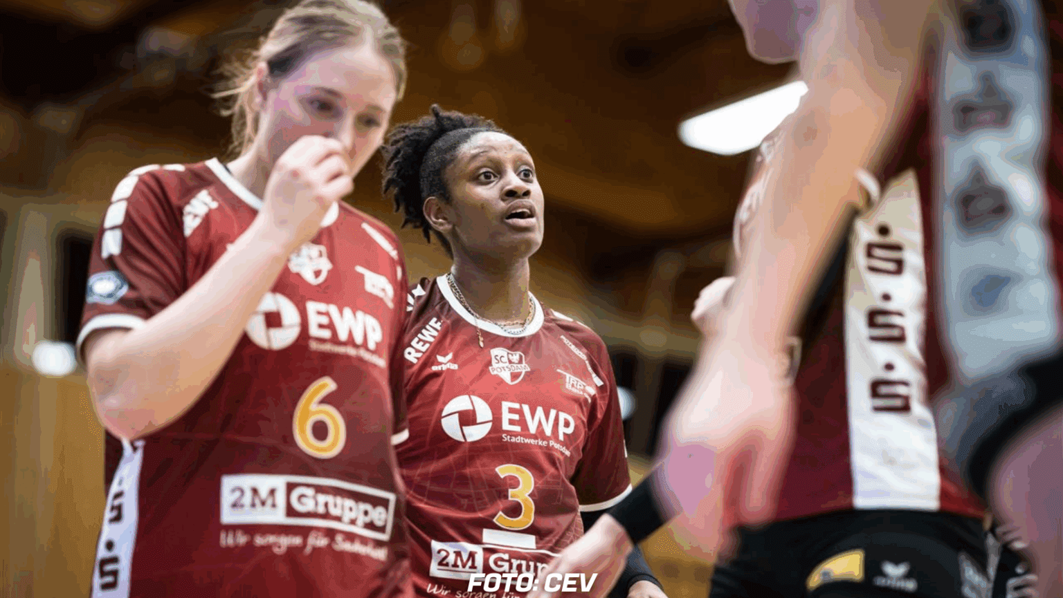 sc potsdam insolvenz lizenz volleyball