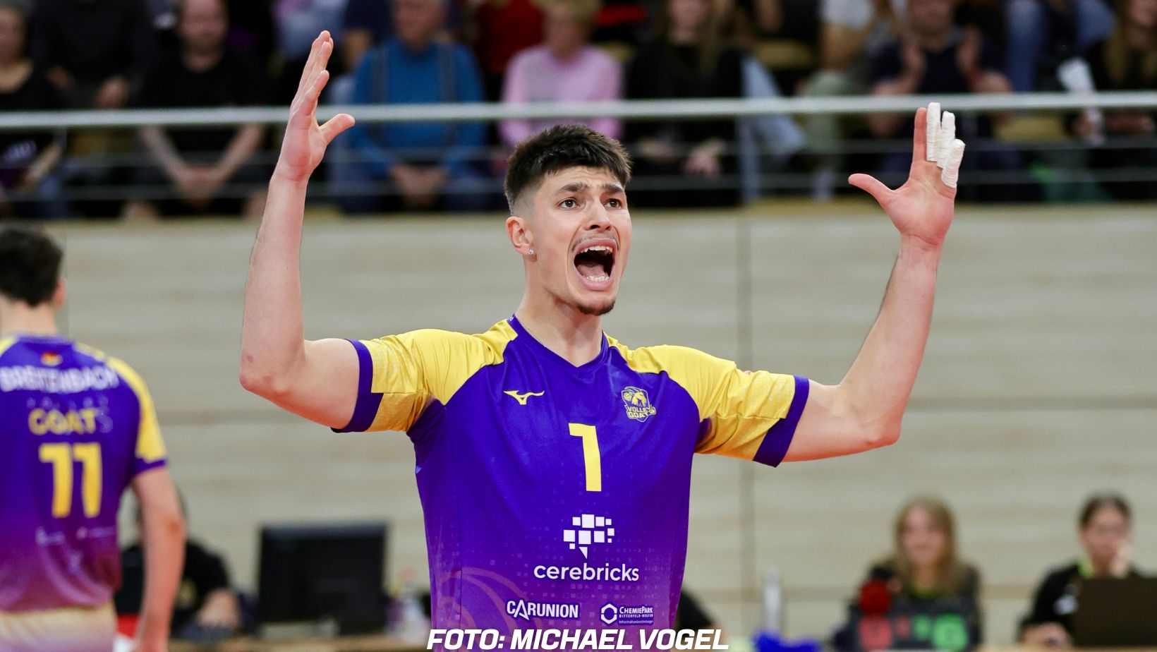 Nikos Xydakis volleygoats bitterfeld