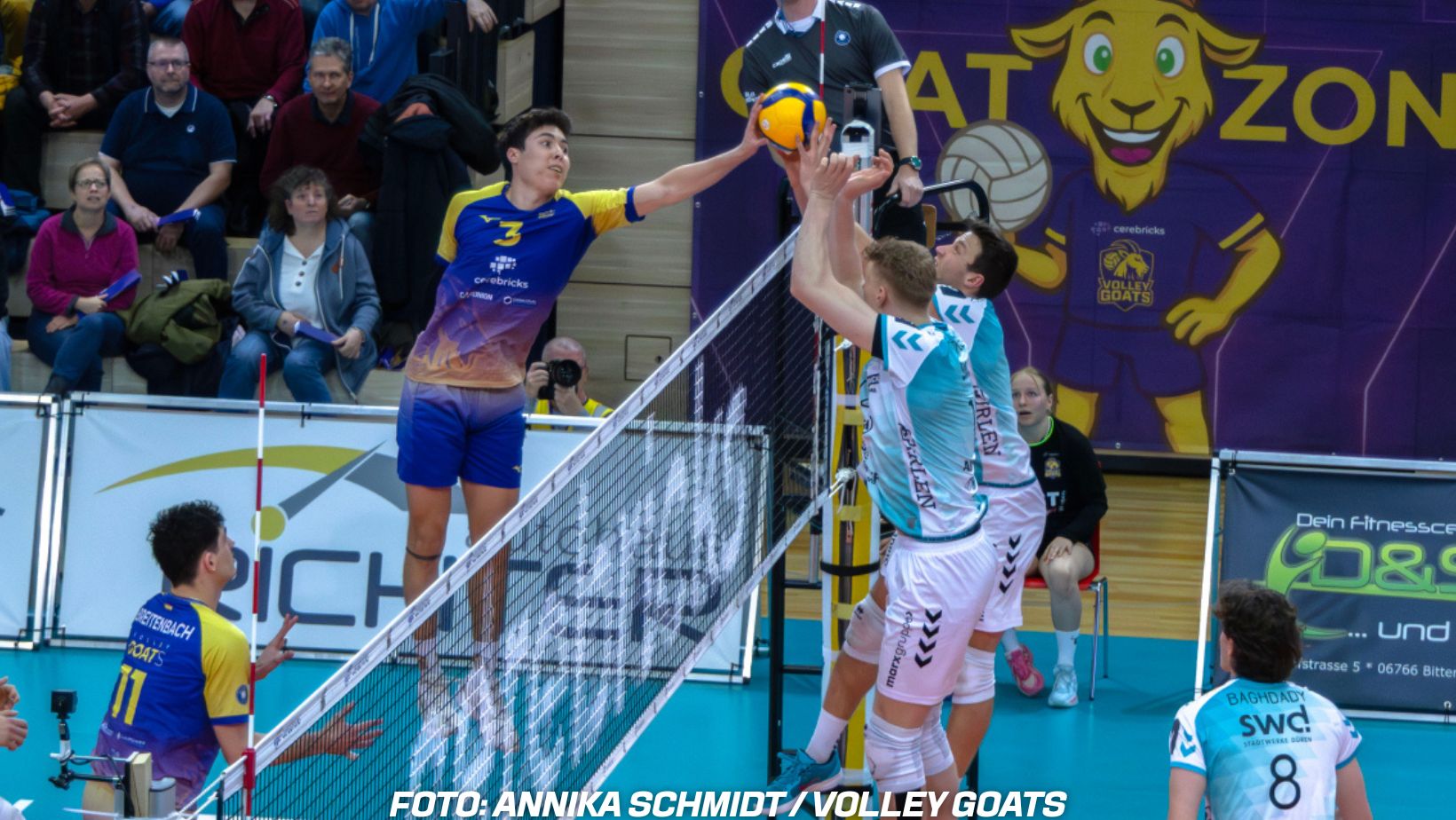 Nächste Vertragsauflösung bei den Volley Goats