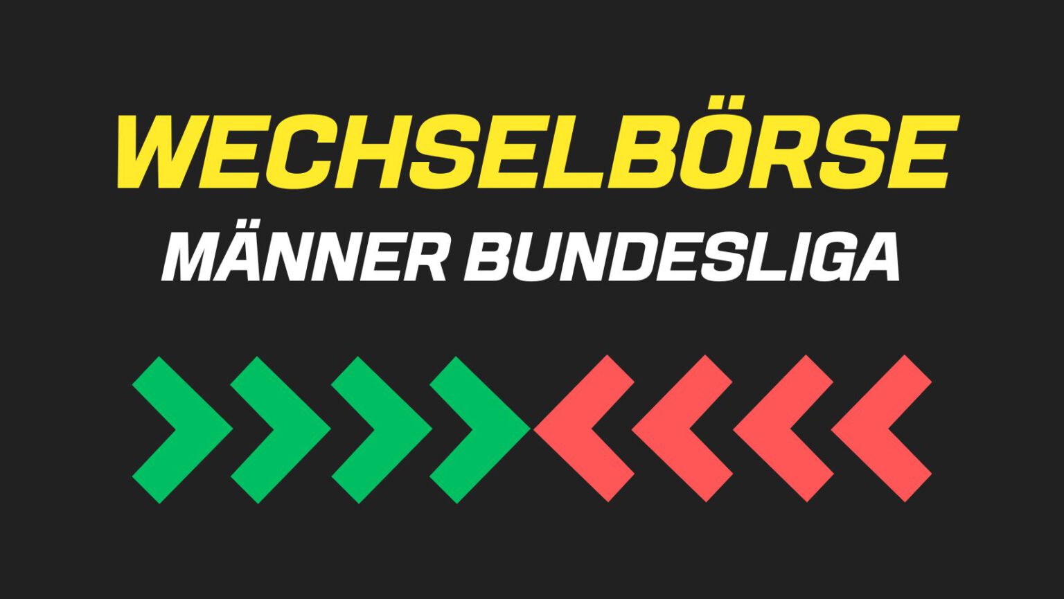 wechselbörse transfer volleyball bundesliga männer